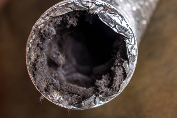Best Affordable Air Duct Cleaning  in Decherd, TN